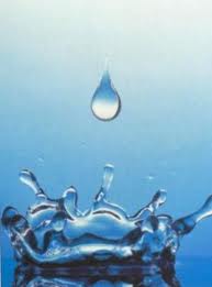 Distribution automatique Vivaraise Distribution automatique Vivaraise