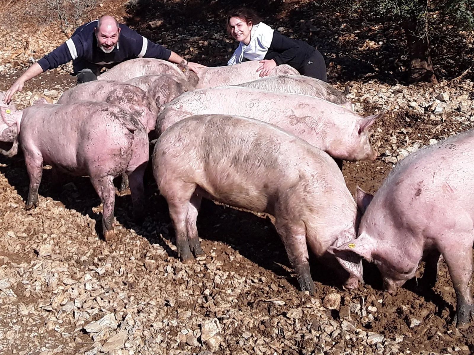 La Ferme des 2 Sources