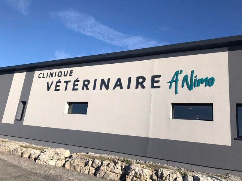 Vétérinaire A’nimo